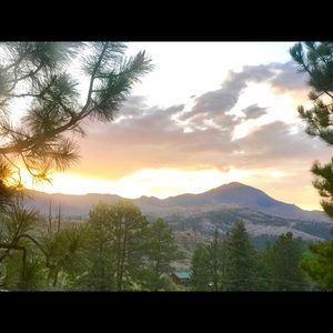 Meet your Posher, Abbie